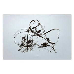 Prof. Slawomir Witkowski (born 1961), From the series Non-peaceful drawings.