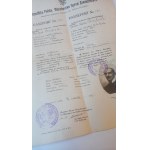 Diplomatic passport of the Second Republic of Poland 1919. UNIQUE