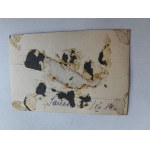 PHOTO SANOK, CHILDREN, DOG