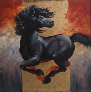 Tomasz Bednarski, Mustang