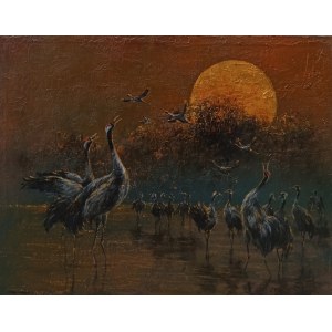 Artur Hajnowski, Pieśń żurawi o zmierzchu