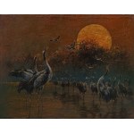 Artur Hajnowski, Song of the Cranes at Dusk