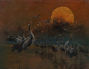 Artur Hajnowski, Pieśń żurawi o zmierzchu