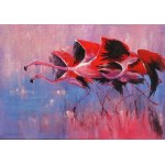 Artur Hajnowski, Flamingi w różowym blasku