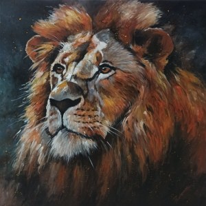Tomasz Bednarski, Król lew