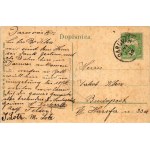 1909 Daruvár, Daruvar, Daruwar; Kupaliste, Anina Blatna Kupka, Livia-Heim / fürdő, iszapfürdő, Lívia otthon. C.W.W. IX...