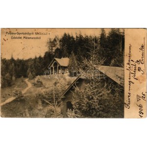 1906 Gyertyánliget, Polyana-Gyertyánliget, Kabola Polyána, Kobyletska Poliana (Máramaros, Maramures); fürdő...