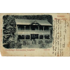 1899 Gyertyánliget, Polyana-Gyertyánliget, Kabola Polyána, Kobyletska Poliana (Máramaros, Maramures); Valéria ház...