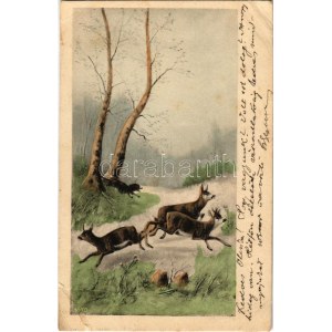 1905 Hunting dog and deer (fa)