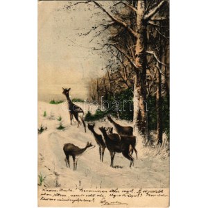 1905 Deer in the forest (EK)
