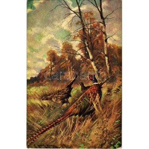 Hunting art postcard. K.V.B. Serie 9025. s: E. Heller (EK)