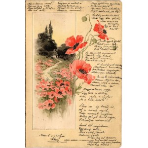 1900 Pipacsok. Dombornyomott litho üdvözlet. Szénásy kiadása / poppy flowers. Emb. litho (fl)