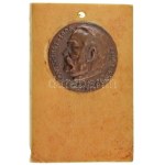 1958. "XXIV. MÉT. BP. 1958. - Hőgyes 1847-1906" egyoldalas bronz emlékplakett műanyag talapzatra applikálva (40mm...