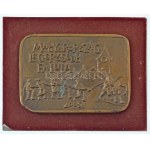 2005. "Magyarország legerősebb faluja" egyoldalas, öntött bronz plakett, fa talpon (90x126mm) T...