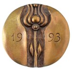 Asszonyi Tamás (1942-) 1993. "Szakszervezeti Művészeti-Kulturális Díj" kétoldalas, öntött bronz plakett ...