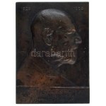 Mátrai Lajos (1875-1966) 1911. "Zichy Nándor grófnak - Fáradhatatlan elnökének a Szent-István Társulat ...