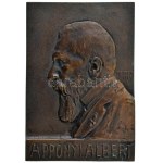 Maugsch Gyula (1882-1945) 1920 k. "Apponyi Albert" egyoldalas, öntött bronz plakett, hátoldalán akasztóval (128x185mm...