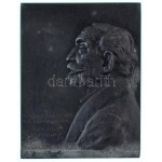 Murányi Gyula (1881-1920) 1916. "A magyar írók nesztorának, a 80 éves Ágainak szeretettel Murányi" Zn plakett (68x53...