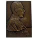 Orbán Antal (1887-1940) 1921. "Erdősi Károly Ezüstmiséje Emlékére" bronz emlékplakett (64x44mm) T...