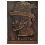 Solymári Valkó László (1909-1984) 1954. "Bem József" egyoldalas bronz plakett (92x67mm) T:AU Hungary 1954. "József Bem...