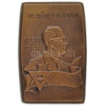 Szigeti Magda (1947-) 1968. "Dr. Rédey István 1898-1968" egyoldalas, öntött bronz emlékplakett (83x122mm) T...