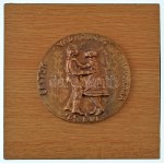 Takács Erzsébet (1928-1999) 1975. "Építők Vadrózsák Tánckara - 25 éves" öntött bronz plakett, fa alapzaton (~80-82mm) T...