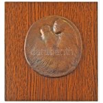 Takács Erzsébet (1928-1999) DN "Anyaság" öntött bronz plakett, fa alapzaton (~98x80mm) T:AU / Hungary ND "Anyaság...