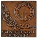 DN "20 éves Szövetkezeti Munkáért" egyoldalas, öntött bronz emlékplakett (101,5x104mm) T:AU
