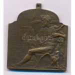 Vastagh György Ifj. (1868-1946) 1909. "XVI. Nemzetközi Orvos Kongresszus - Budapest" kétoldalas bronz plakett füllel. ...
