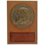 1971. "PROF ÁRVAY SÁNDOR 20 ÉVE VEZETI A DOTE. NŐI KLINIKÁJÁT 1971." egyoldalas bronz emlékplakett fa talapzaton ...