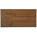 1977. "MÁV Kórház és Központi Rendelőintézet 1927-1977, Budapest" bronz emlékplakett (40x80mm) T...