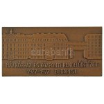 1977. "MÁV Kórház és Központi Rendelőintézet 1927-1977, Budapest" bronz emlékplakett (40x80mm) T...