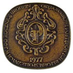 Lengyelország 1977. "Stanisław Leszczyńskinek 1677-1766 / A társadalmi haladást szolgáló reformok élharcosának...