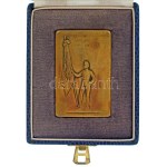 Német Birodalom 1914. "Sportverseny Neustadtban" kétoldalas bronz díjplakett, kopott dísztokban. Szign.: "J...