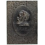 DN Balra néző szakállas férfit profilból ábrázoló öntött Fe plakett, cirillbetűs(?) szöveggel (95x133mm) T...