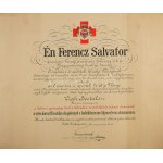 1917 A "Vörös Kereszt II. osztályú Díszjelvénye hadiékítménnyel" kitüntetés adományozó oklevele Vigh Bertalan (1887...