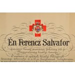 1917 A "Vörös Kereszt II. osztályú Díszjelvénye hadiékítménnyel" kitüntetés adományozó oklevele Vigh Bertalan (1887...