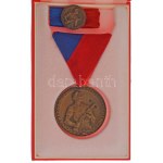 1964. "Munkásőr Emlékérem" bronz kitüntetés mellszalagon, miniatűrrel szalagsávon, eredeti tokban T...