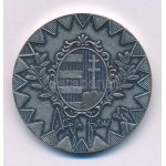 1996-1999. "Magyar Honvédség parancsnoka, vezérkari főnök" kétoldalas fém emlékérem...