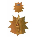 1950 k. "Kiváló Bányász" aranyozott, zománcozott kitüntetés miniatűrrel, tokban (~31x31mm; ~18x18mm) T:AU...