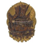 Szovjetunió 1954. "Ukrajna és Oroszország újraegyesítésének 300. évfordulójára" aranyozott...