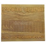 1932. "Balatoni Versenyek - Országos Testnevelési Tanács" bronz sport emlékplakett. Szign.: Beck Ötvös Fülöp (1873-1945...
