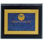 Olaszország DN "Olasz Úszószövetség" egyoldalas, festett, aranyozott, részben műgyantás fém plakett, műanyag alapon...