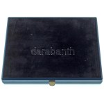 Olaszország DN "Olasz Úszószövetség" egyoldalas, festett, aranyozott, részben műgyantás fém plakett, műanyag alapon...