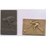 Svédország 1937. "Svéd Sportszövetség / Svéd I. osztályú Általános Sportbajnokság" egyoldalas bronz díjplakett, "C.C...