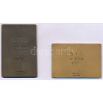 Svédország 1937. "Svéd Sportszövetség / Svéd I. osztályú Általános Sportbajnokság" egyoldalas bronz díjplakett, "C.C...