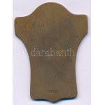 Svédország DN "IFL - A Linnea Sportklub 15 éves jubileumi versenyei" egyoldalas bronz díjplakett, "SIGMA STOCKHOLM...