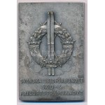 Svédország DN "Svéd Sí- és Szabadidősport Szövetség" egyoldalas, ezüstözött bronz emlékplakett, "C.C.SPORRONG&CO...