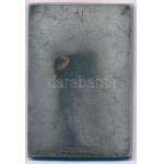 Svédország DN "Svéd Sí- és Szabadidősport Szövetség" egyoldalas, ezüstözött bronz emlékplakett, "C.C.SPORRONG&CO...