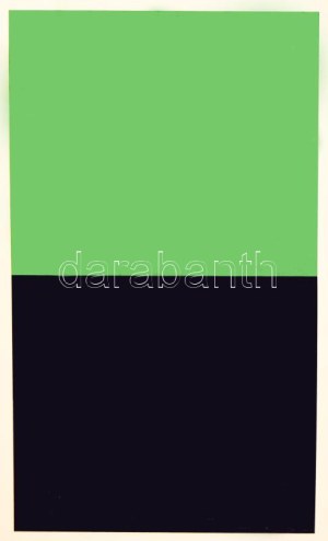 Ellsworth Kelly (1923-2015): Zöld-fekete. Litográfia, papír, jelezve jobbra lent, művészpéldány AP jelzéssel...